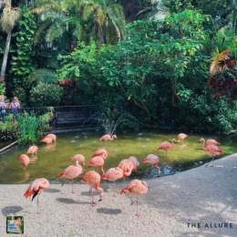 Instagram post from @alluregateway on August 08, 2022 15:56:36pm