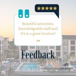 Instagram post from @alluregateway on November 29, 2022 10:00:24am